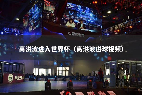 高洪波進入世界杯（高洪波進球視頻）