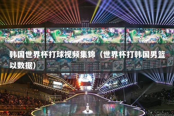 韓國世界杯打球視頻集錦（世界杯打韓國男籃以數(shù)據(jù)）