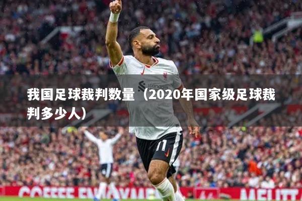 我國(guó)足球裁判數(shù)量（2020年國(guó)家級(jí)足球裁判多少人）