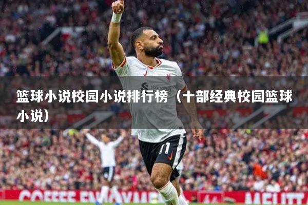 籃球小說(shuō)校園小說(shuō)排行榜（十部經(jīng)典校園籃球小說(shuō)）