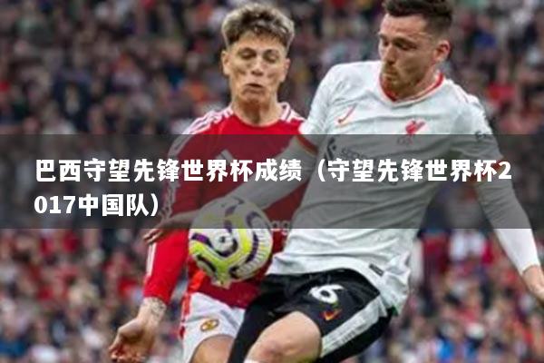 巴西守望先鋒世界杯成績（守望先鋒世界杯2017中國隊）