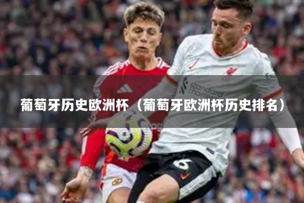 葡萄牙歷史歐洲杯（葡萄牙歐洲杯歷史排名）