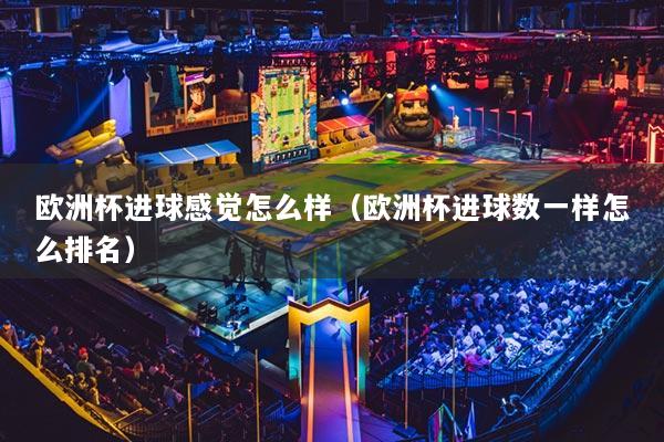 歐洲杯進球感覺怎么樣（歐洲杯進球數一樣怎么排名）