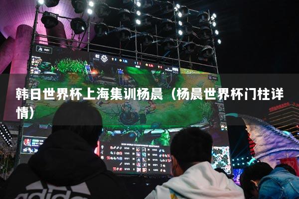 韓日世界杯上海集訓(xùn)楊晨（楊晨世界杯門柱詳情）