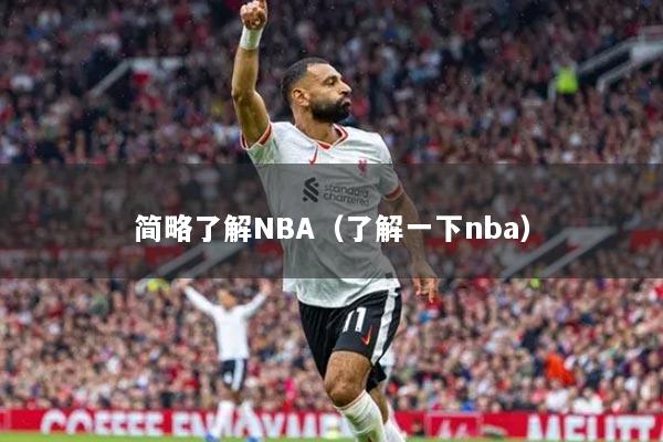 簡略了解NBA（了解一下nba）