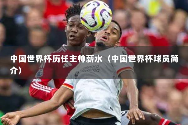 中國(guó)世界杯歷任主帥薪水（中國(guó)世界杯球員簡(jiǎn)介）