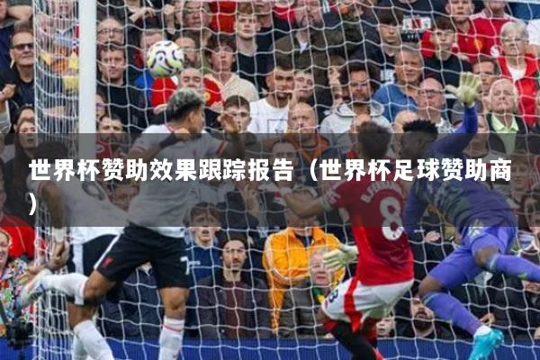 世界杯贊助效果跟蹤報告（世界杯足球贊助商）