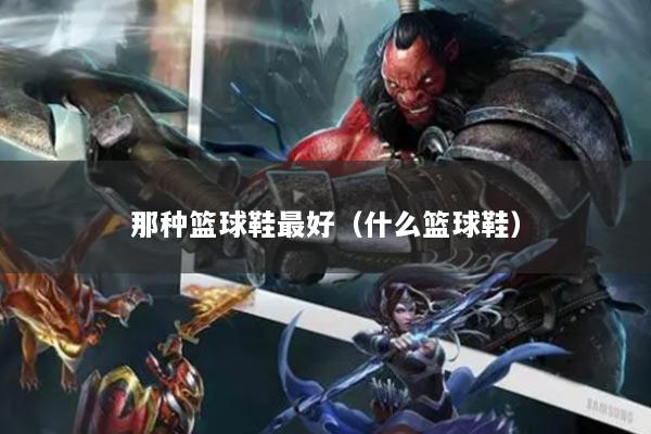 那種籃球鞋最好（什么籃球鞋）