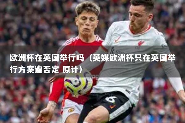 歐洲杯在英國舉行嗎（英媒歐洲杯只在英國舉行方案遭否定 原計）