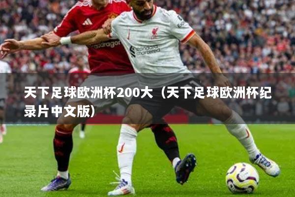 天下足球歐洲杯200大（天下足球歐洲杯紀(jì)錄片中文版）