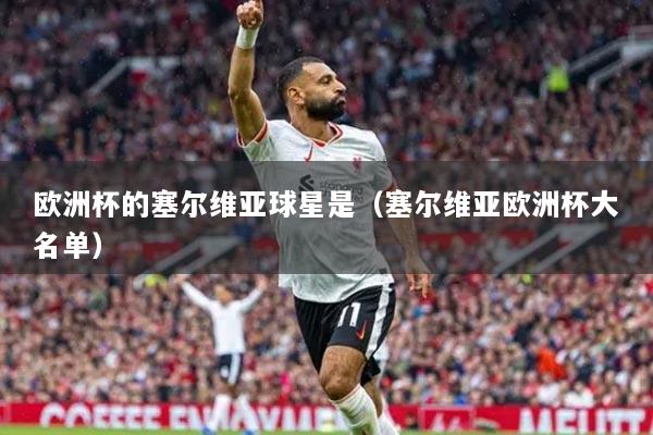 歐洲杯的塞爾維亞球星是（塞爾維亞歐洲杯大名單）