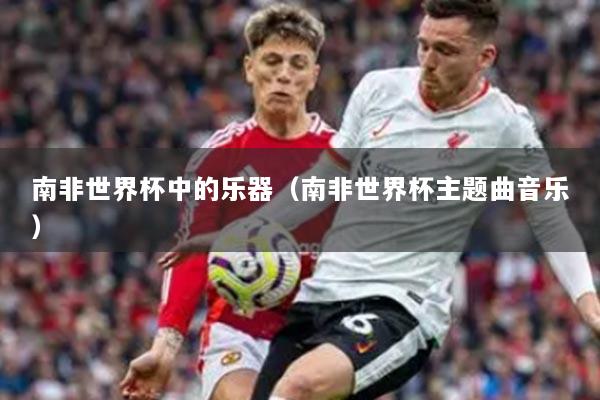 南非世界杯中的樂(lè)器（南非世界杯主題曲音樂(lè)）