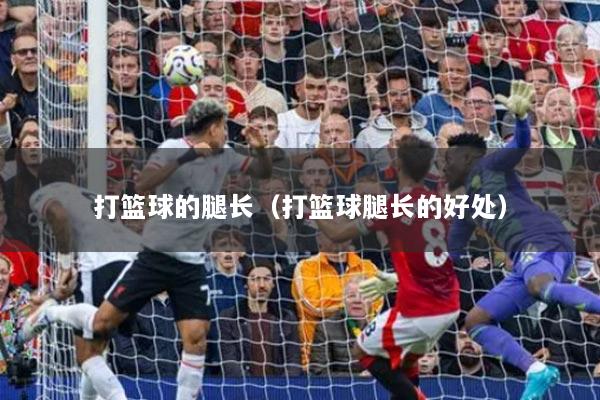 打籃球的腿長(zhǎng)（打籃球腿長(zhǎng)的好處）