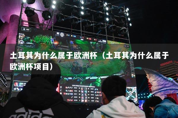 土耳其為什么屬于歐洲杯（土耳其為什么屬于歐洲杯項目）