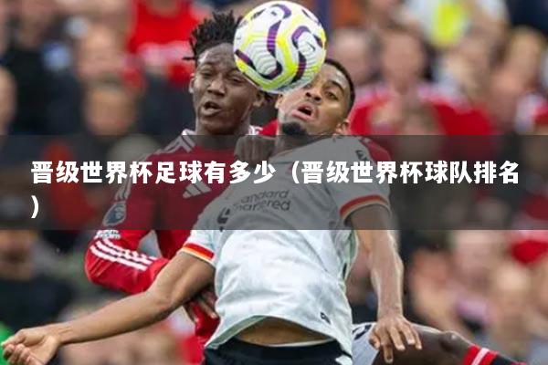 晉級世界杯足球有多少（晉級世界杯球隊排名）
