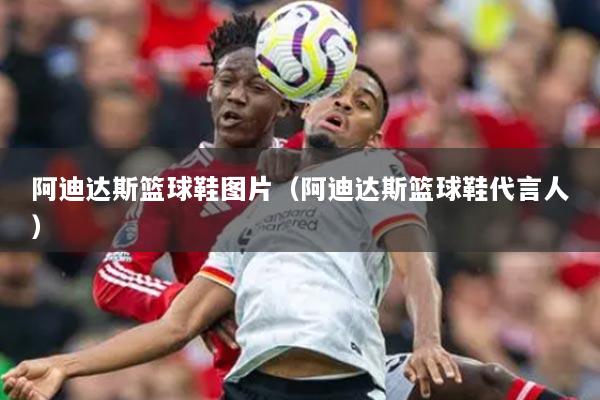 阿迪達(dá)斯籃球鞋圖片（阿迪達(dá)斯籃球鞋代言人）