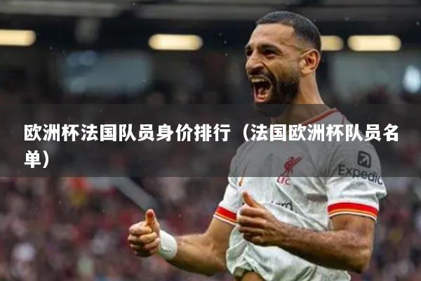 歐洲杯法國隊(duì)員身價(jià)排行（法國歐洲杯隊(duì)員名單）