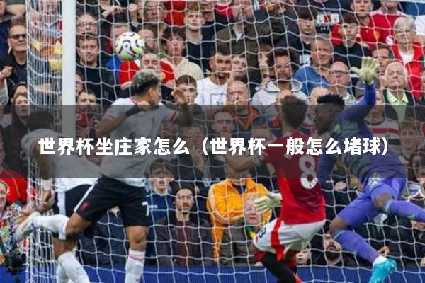世界杯坐莊家怎么（世界杯一般怎么堵球）