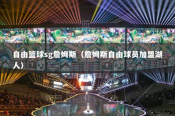 自由籃球sg詹姆斯（詹姆斯自由球員加盟湖人）