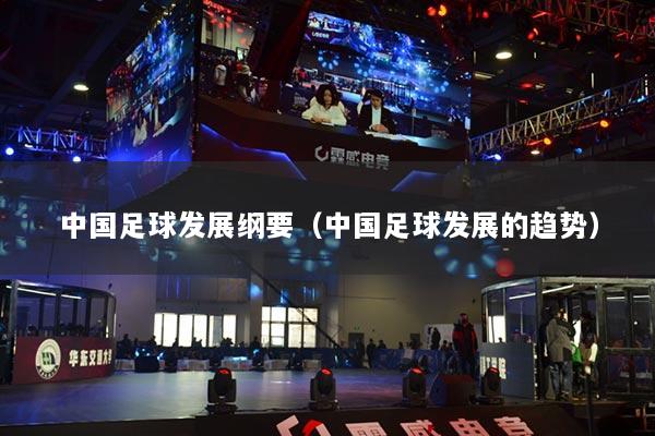 中國足球發(fā)展綱要（中國足球發(fā)展的趨勢）