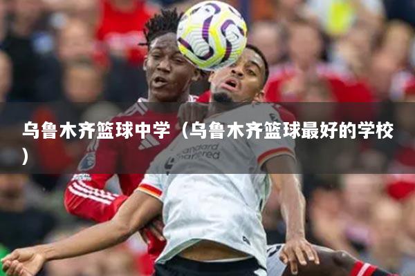 烏魯木齊籃球中學(xué)（烏魯木齊籃球最好的學(xué)校）