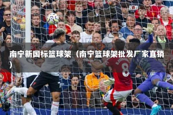 南寧新國標籃球架（南寧籃球架批發(fā)廠家直銷）