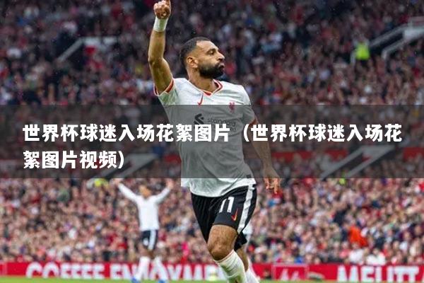 世界杯球迷入場花絮圖片（世界杯球迷入場花絮圖片視頻）