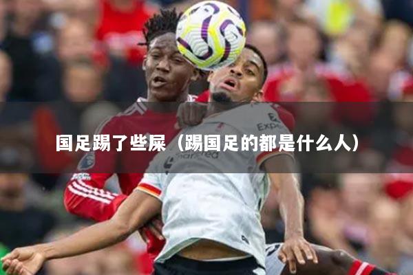 國(guó)足踢了些屎（踢國(guó)足的都是什么人）