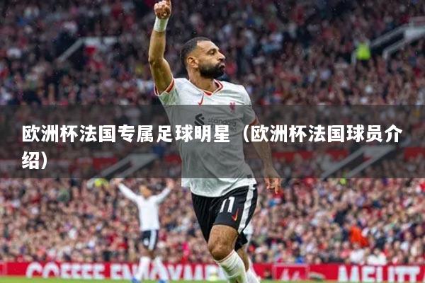歐洲杯法國專屬足球明星（歐洲杯法國球員介紹）