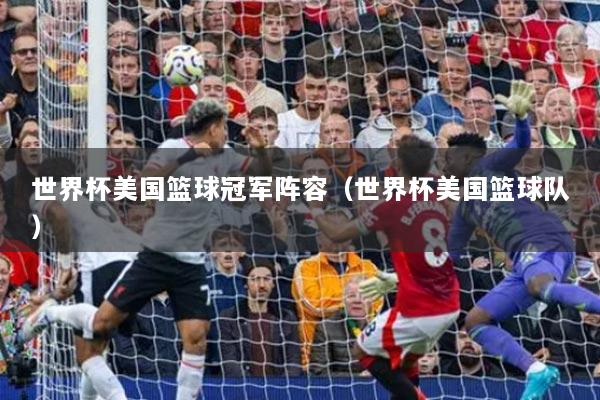 世界杯美國(guó)籃球冠軍陣容（世界杯美國(guó)籃球隊(duì)）