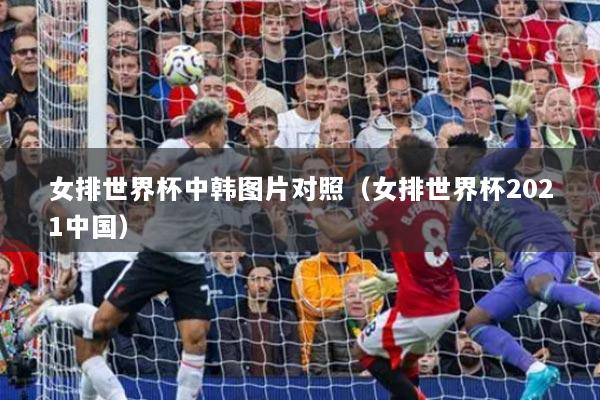 女排世界杯中韓圖片對(duì)照（女排世界杯2021中國）