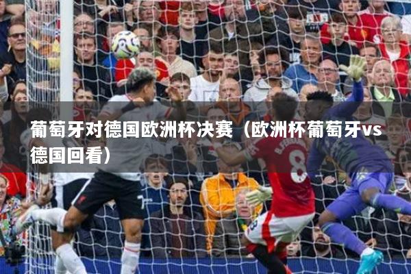 葡萄牙對(duì)德國(guó)歐洲杯決賽（歐洲杯葡萄牙vs德國(guó)回看）