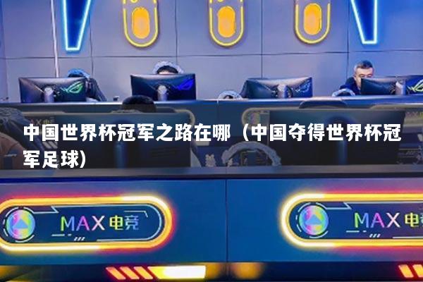 中國世界杯冠軍之路在哪（中國奪得世界杯冠軍足球）