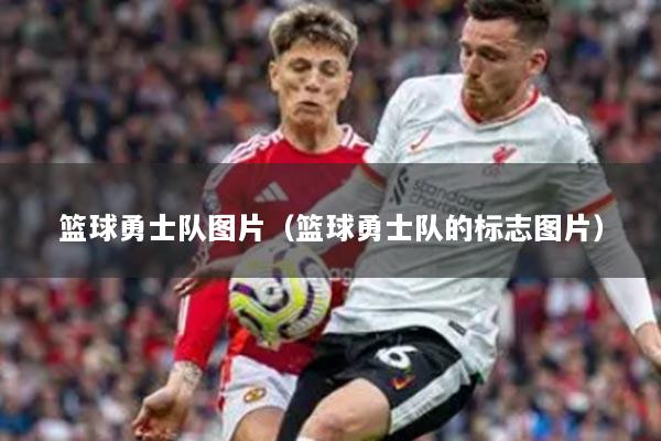 籃球勇士隊圖片（籃球勇士隊的標志圖片）