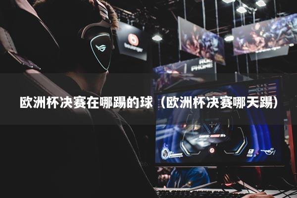 歐洲杯決賽在哪踢的球（歐洲杯決賽哪天踢）