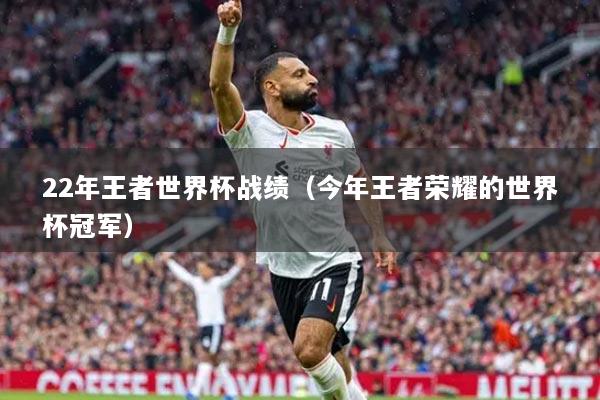 22年王者世界杯戰(zhàn)績(jī)（今年王者榮耀的世界杯冠軍）