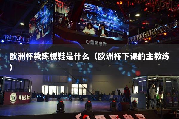 歐洲杯教練板鞋是什么（歐洲杯下課的主教練）