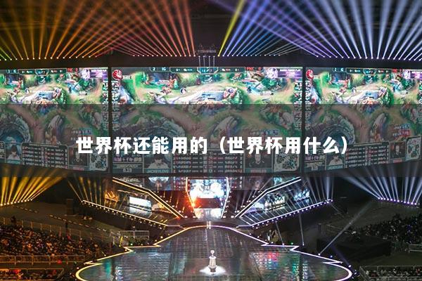 世界杯還能用的（世界杯用什么）