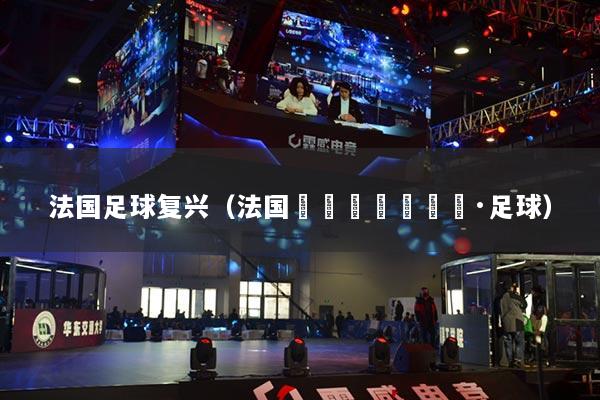法國足球復(fù)興（法國????足球）