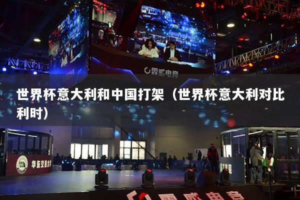 世界杯意大利和中國打架（世界杯意大利對比利時）
