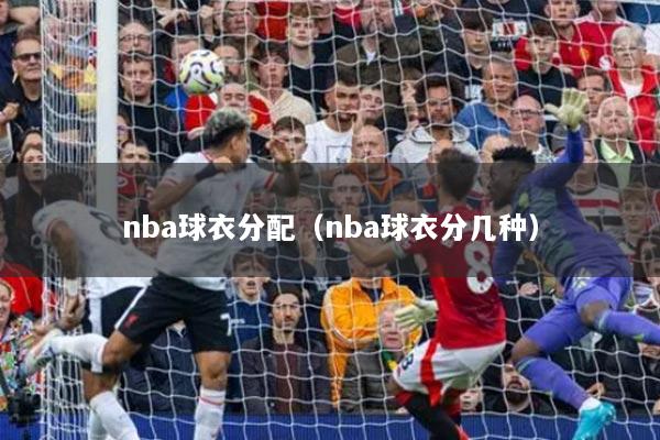 nba球衣分配（nba球衣分幾種）