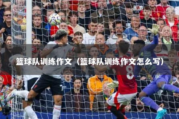 籃球隊訓練作文（籃球隊訓練作文怎么寫）