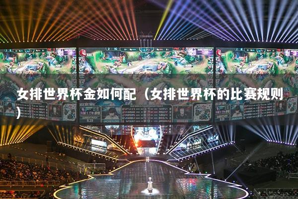 女排世界杯金如何配（女排世界杯的比賽規(guī)則）