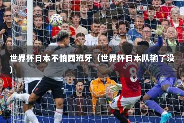 世界杯日本不怕西班牙（世界杯日本隊(duì)輸了沒）