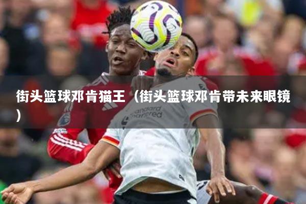 街頭籃球鄧肯貓王（街頭籃球鄧肯帶未來(lái)眼鏡）
