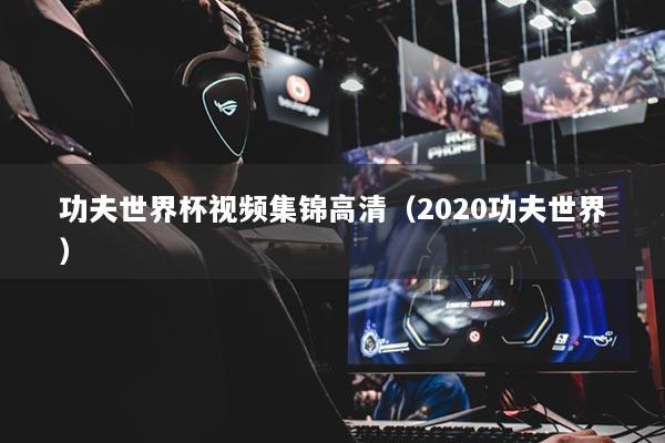 功夫世界杯視頻集錦高清（2020功夫世界）