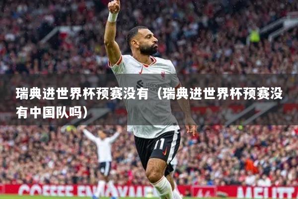 瑞典進(jìn)世界杯預(yù)賽沒有（瑞典進(jìn)世界杯預(yù)賽沒有中國隊(duì)嗎）