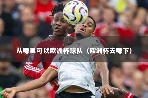 從哪里可以歐洲杯球隊(duì)（歐洲杯去哪下）