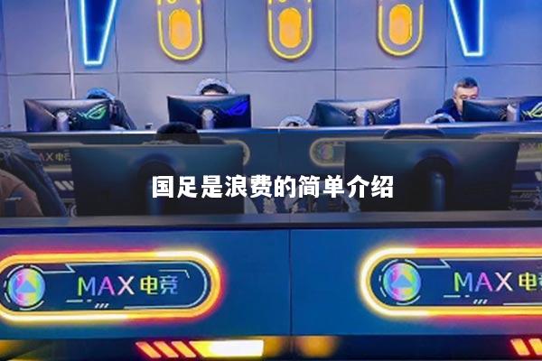 國足是浪費的簡單介紹