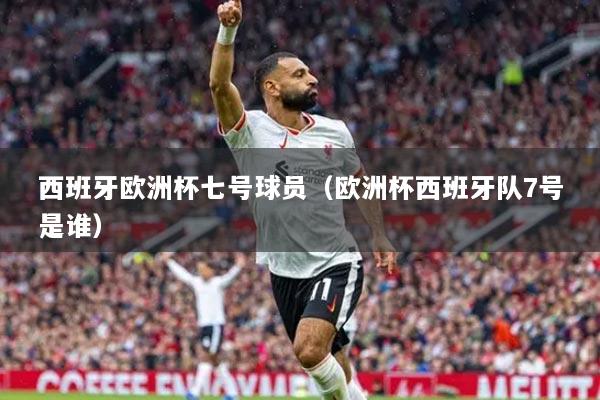 西班牙歐洲杯七號(hào)球員（歐洲杯西班牙隊(duì)7號(hào)是誰(shuí)）